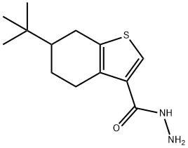 6-TERT-BUTYL-4,5,6,7-TETRAHYDRO-1-BENZOTHIOPHENE-3-CARBOHYDRAZIDE Structure