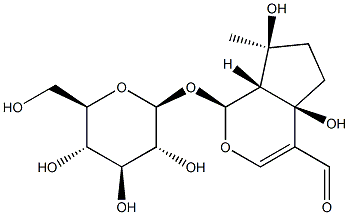 EUPHROSIDE Structure