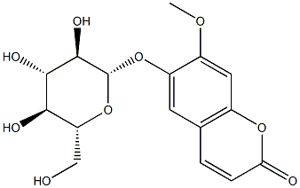 Magnolioside Structure