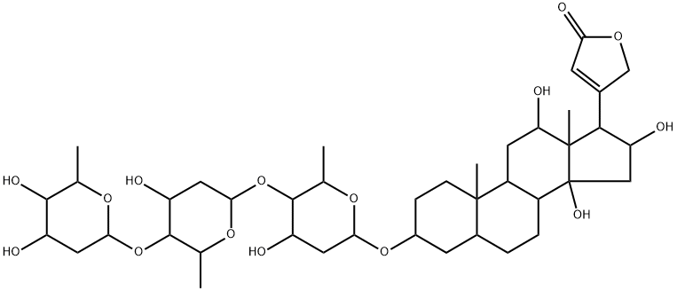 diginatin Structure