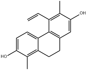 juncusol Structure