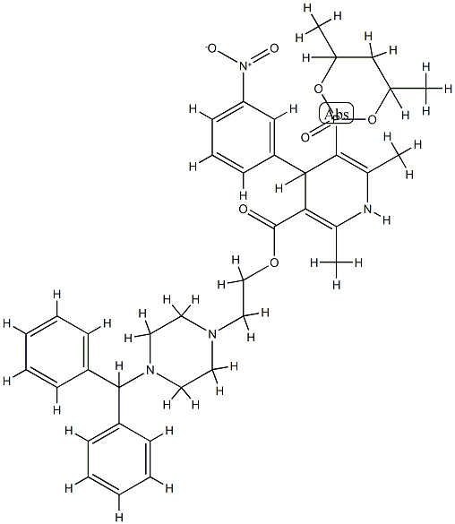 NIP 101 Structure