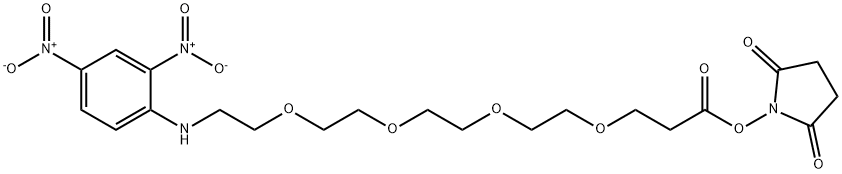 DNP-PEG4-NHS ester Structure