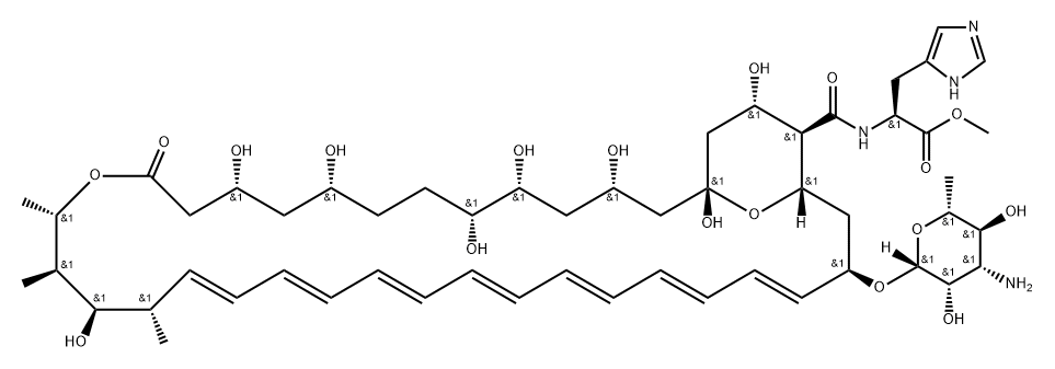 Amphotericin A21 Structure