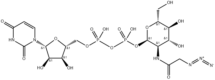 UDP-GalNAz Structure