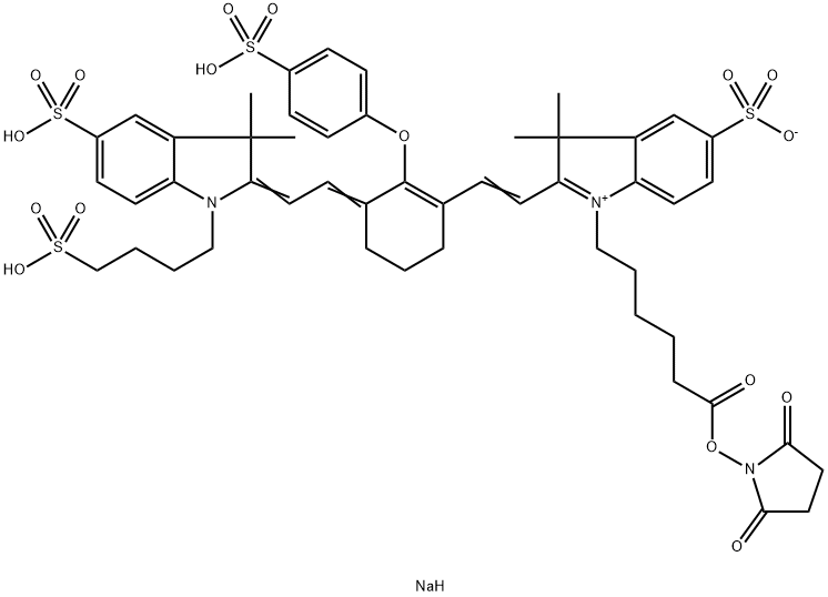 IRDye 800 NHS Structure