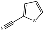 1003-31-2 2-Thiophenecarbonitrile