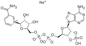 2':3'-CYCLIC NADP SODIUM SALT Structure