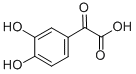 4,8-DIHYDROXYQUINOLINE Structure