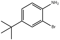 103273-01-4 2-Bromo-4-tert-butylaniline