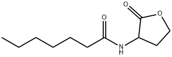 N-HEPTANOYL-DL-HOMOSERINE LACTONE Structure