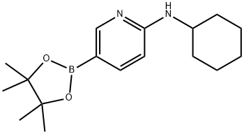 6-(CYCLOHEXYLAMINO)PYRIDINE-3-BORONIC ACID PINACOL ESTER Structure