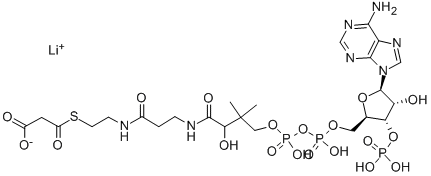 MALONYL COENZYME A LITHIUM SALT Structure