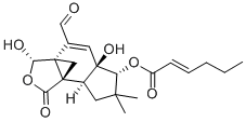 pilatin Structure