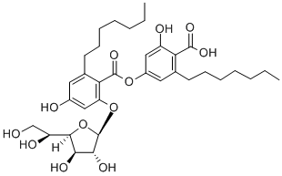 KS 502 Structure