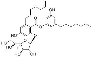 KS 501 Structure