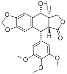 GP 7 Structure