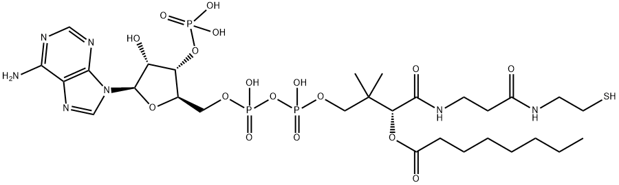 Octanoyl coenzyme A Structure