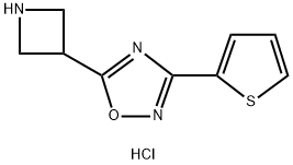 5-Azetidin-3-yl-3-(2-thienyl)-1,2,4-oxadiazole hydrochloride Structure