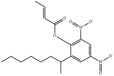 DINOCAP Structure