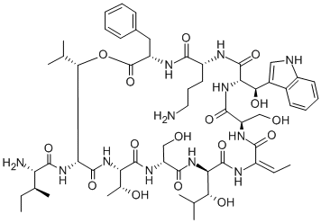 janthinocin A Structure