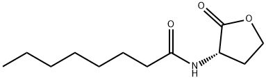 C8-HSL Structure