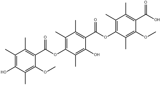 PS 990 Structure