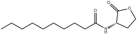 C10-HOMOSERINE LACTONE Structure