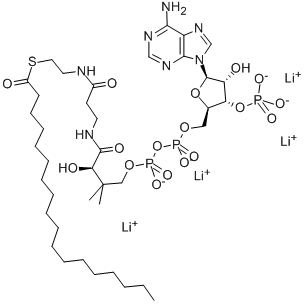 N-OCTADECANOYL COENZYME A LITHIUM SALT Structure