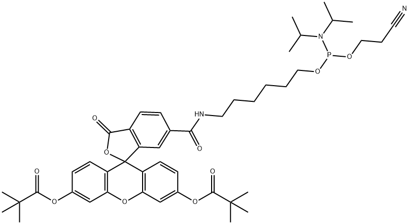 5'(6)-FAM Structure