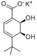 (2R,3S)-1-CARBOXY-4-TERT-BUTYL-2,3-DIHYDROXYCYCLOHEXA-4,6-DIENE, POTASSIUM SALT Structure