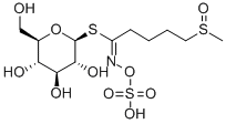 GLUCORAPHANIN Structure