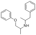 racefemine Structure