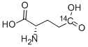 GLUTAMIC ACID, L-, [5-14C] Structure