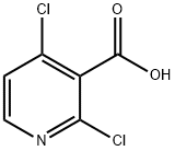 262423-77-8 2,4-Dichloropyridine-3-carboxylic acid