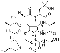 phalloin Structure