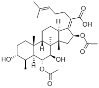 CEPHALOSPORINP1 Structure