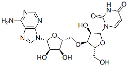 uridylyl(3'->5')adenosine Structure