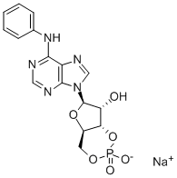 6-PHE-CAMP SODIUM SALT Structure