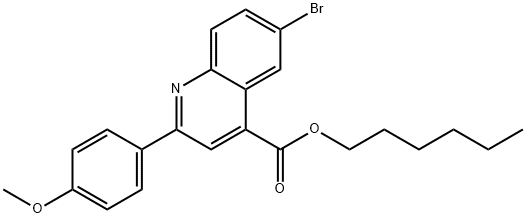 SALOR-INT L207802-1EA Structure