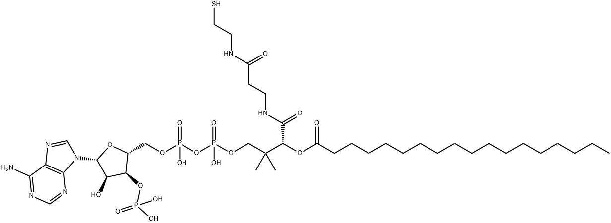 STEAROYL COENZYME A Structure