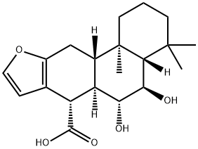 vouacapan Structure