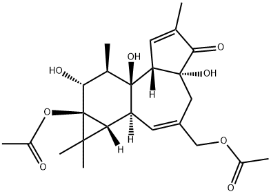 PHORBOL 13,20-DIACETATE Structure