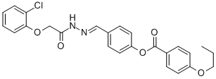 SALOR-INT L236160-1EA Structure