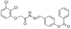 SALOR-INT L240168-1EA Structure