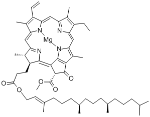 Chlorophyll A Structure