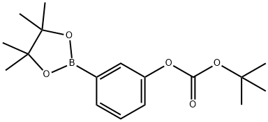 TERT-BUTYL-3-(4,4,5,5-TETRAMETHYL-1,3,2-DIOXABOROLAN-2-YL)PHENYL CARBONATE Structure