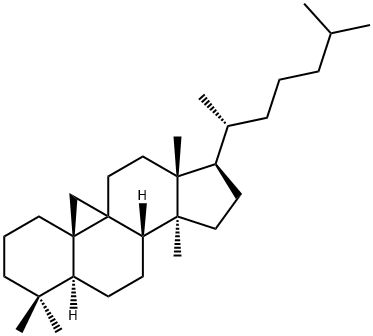 CYCLOARTANE Structure