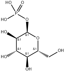 glucose 1-(dihydrogen phosphate)  Structure