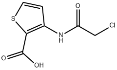 3-[(2-CHLOROACETYL)AMINO]THIOPHENE-2-CARBOXYLIC ACID Structure